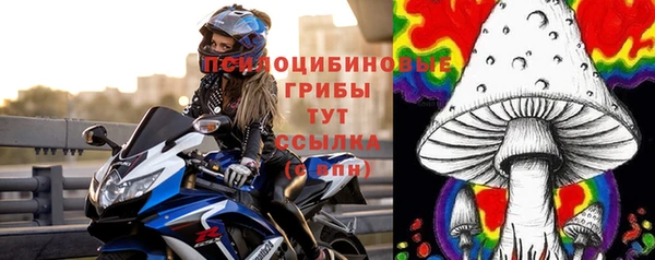 эйфоретик Касимов