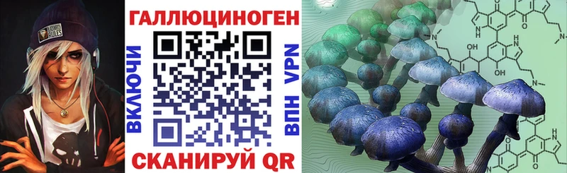Купить где  Поворино  Галлюциногенные грибы прущие грибы 